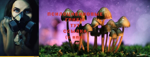 ALPHA-PVP Краснотурьинск
