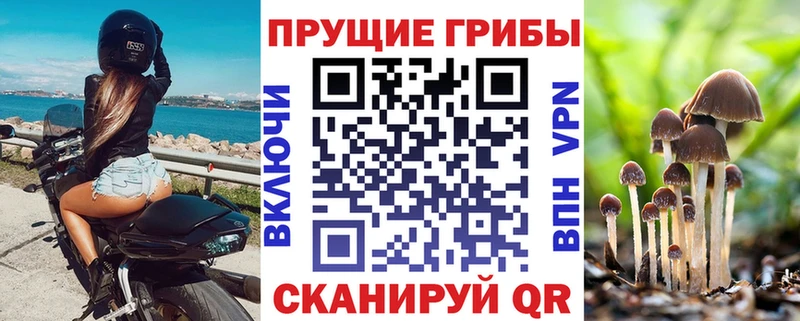 купить  сайты  Хвалынск  Галлюциногенные грибы мухоморы 
